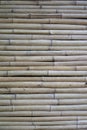 Dry bamboo wall.Ã¢â¬â¹ Light brown bamboo in small size, arranged horizontalÃ¢â¬â¹. Royalty Free Stock Photo